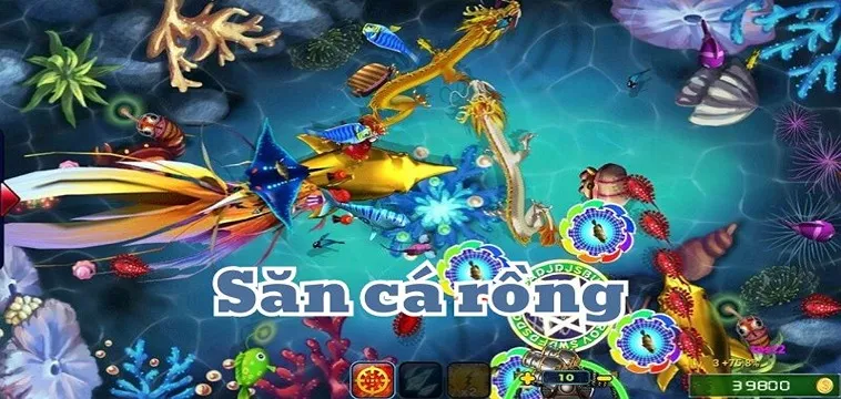 Hướng Dẫn Chơi Bắn Cá Rồng Tại BK8 Một Cách Hiệu Quả Nhất