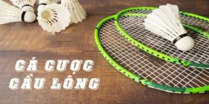 Hướng Dẫn Cách Chơi Cá Cược Cầu Lông Tại BK8 Nhanh Chóng, Hiệu Quả