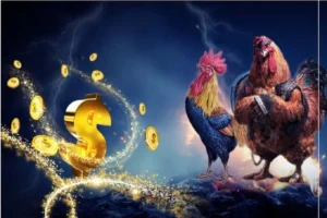 Hướng Dẫn Chơi Đá Gà 3D Tại BK8: Bí Quyết Thắng Lớn