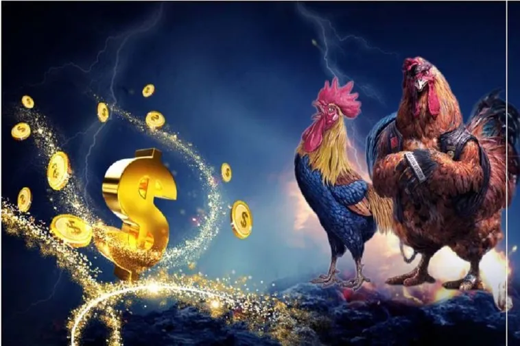 Hướng Dẫn Chơi Đá Gà 3D Tại BK8: Bí Quyết Thắng Lớn