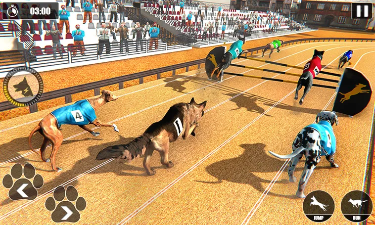 Hướng Dẫn Chơi Game Nhanh Đua Chó Tại BK8 Dễ Thắng Nhất