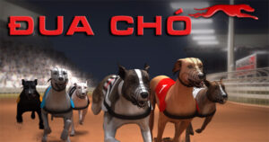 Hướng Dẫn Chơi Game Nhanh Đua Chó Tại BK8 Dễ Thắng Nhất